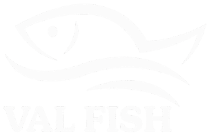 chatgpt image 22 déc. 2025 13 12 56